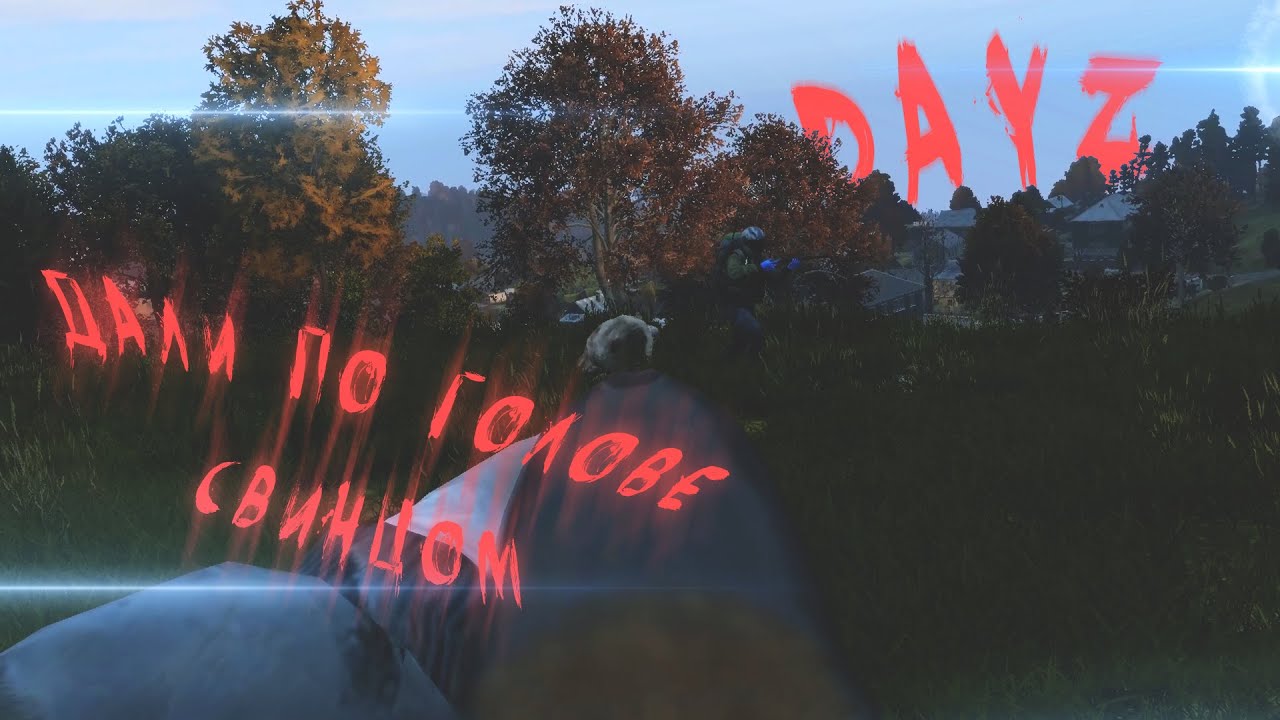 ДАЛИ ПО ГОЛОВЕ СВИНЦОМ | DAYZ