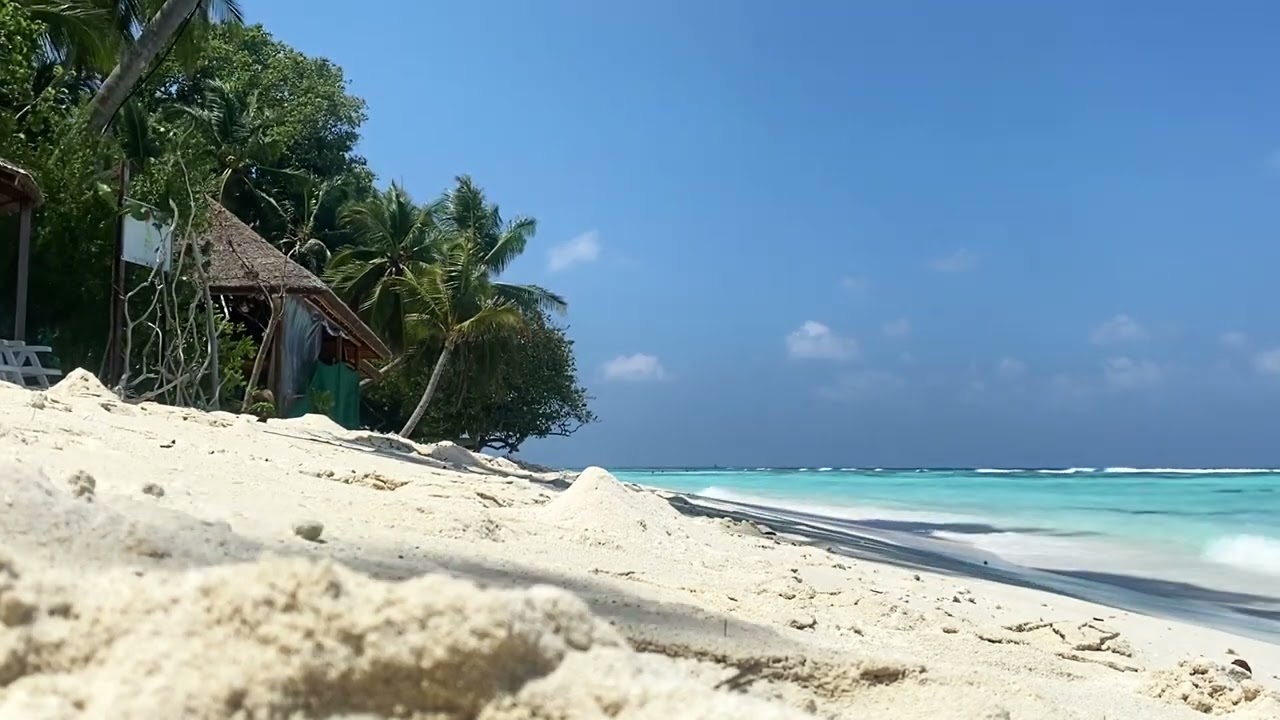 Relaxing Beach Video | OrangeHD | Free Stock Footage