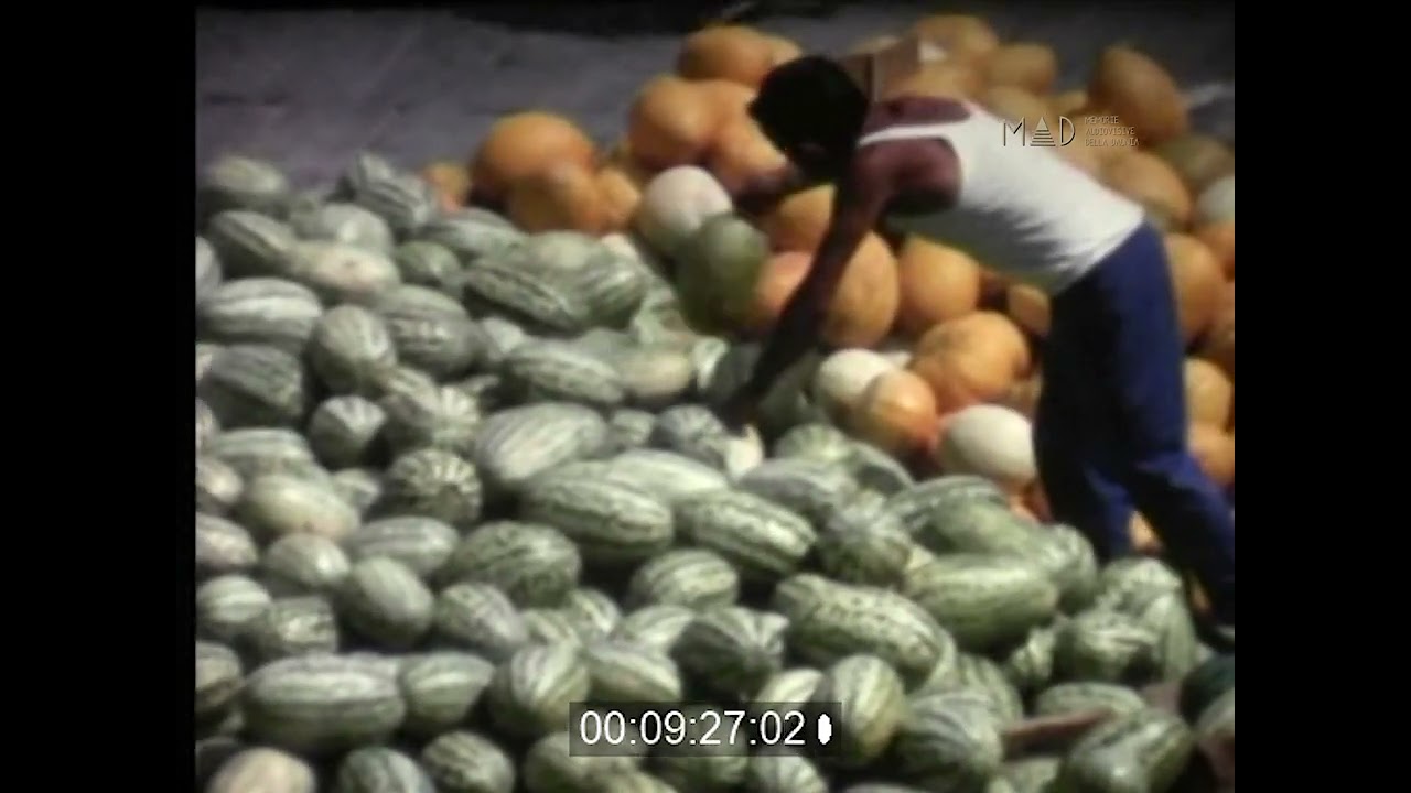 Lucera (FG) Piazza Duomo - Mercato Piazza della Repubblica - Vico Ciacianella Agosto 1965