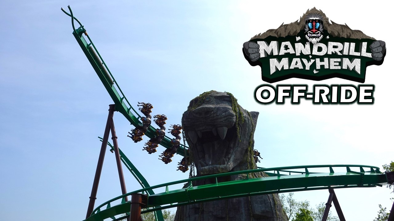 Mandrill Mayhem Off-Ride Footage (60FPS), Chessington B&M Shuttle Wing Coaster | Non-Copyright