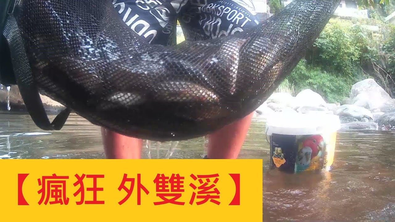 【瘋狂 外雙溪】必殺餌無敵大麥蟲 @禁釣區域解說讓你清楚明瞭