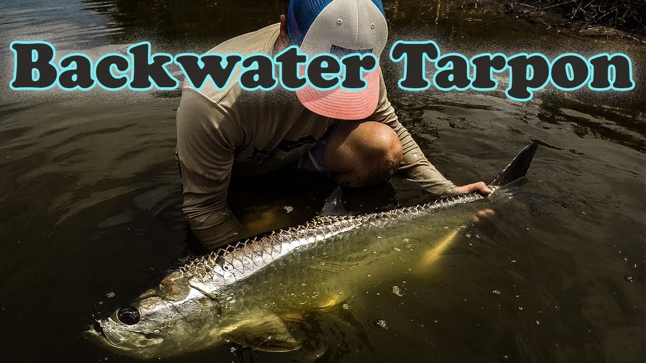 FISHING BACKWATER TARPON
