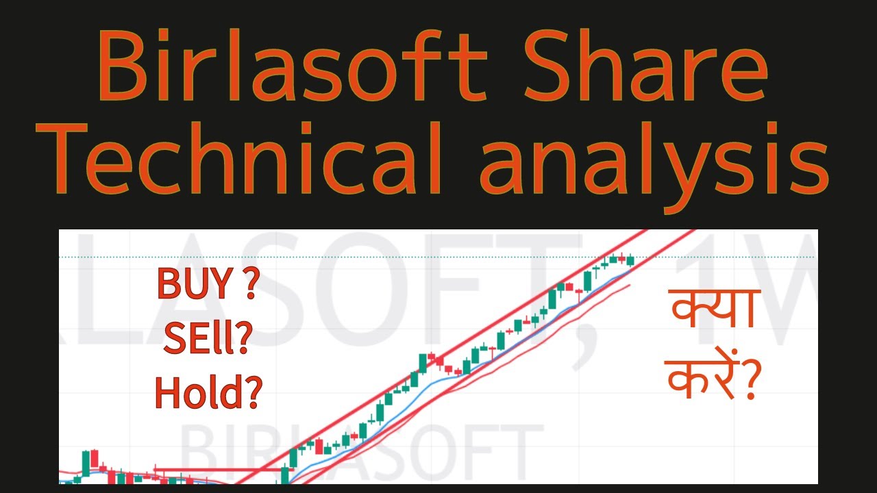 Birlasoft Share Technical and Fundamental Analysis