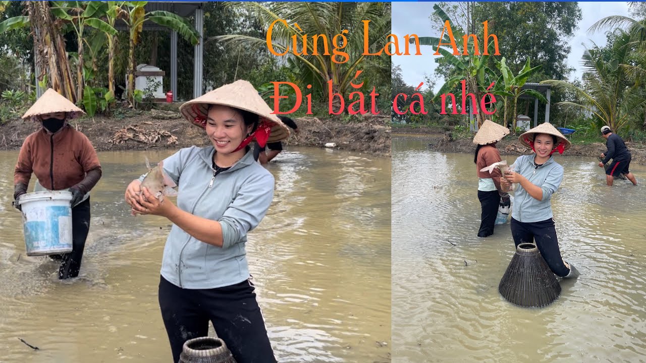 LAN ANH ĐI BẮT CÁ MÈ HOA, Cậu BẢY HẤP CÁ LAU KIẾNG LÁ HẠNH RẤT NGON #lananh #cuocsongoque #mientay 