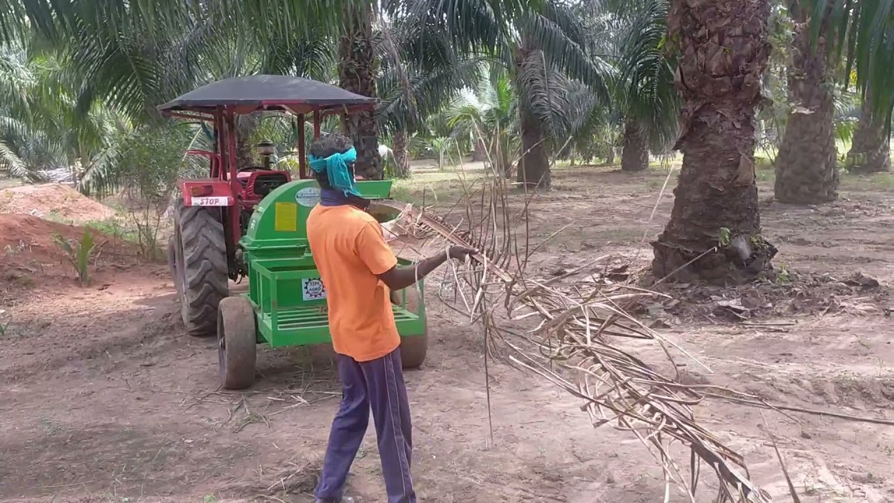palm oil tree branches chaff crusher using Tractor