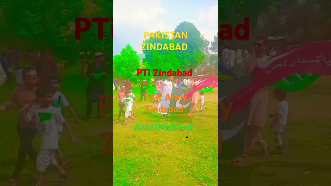 independence day for Pakistan 🇵🇰  celebrating with PTi #independence #pakistan #azadiMubarak