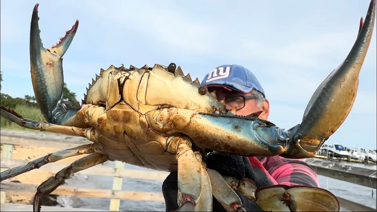 Crabbing - Brick New Jersey