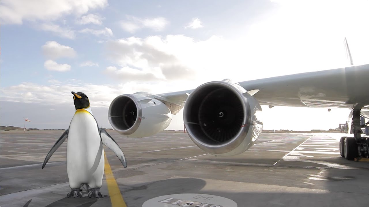 NASA | OIB Flights South 2014: Birds and Planes