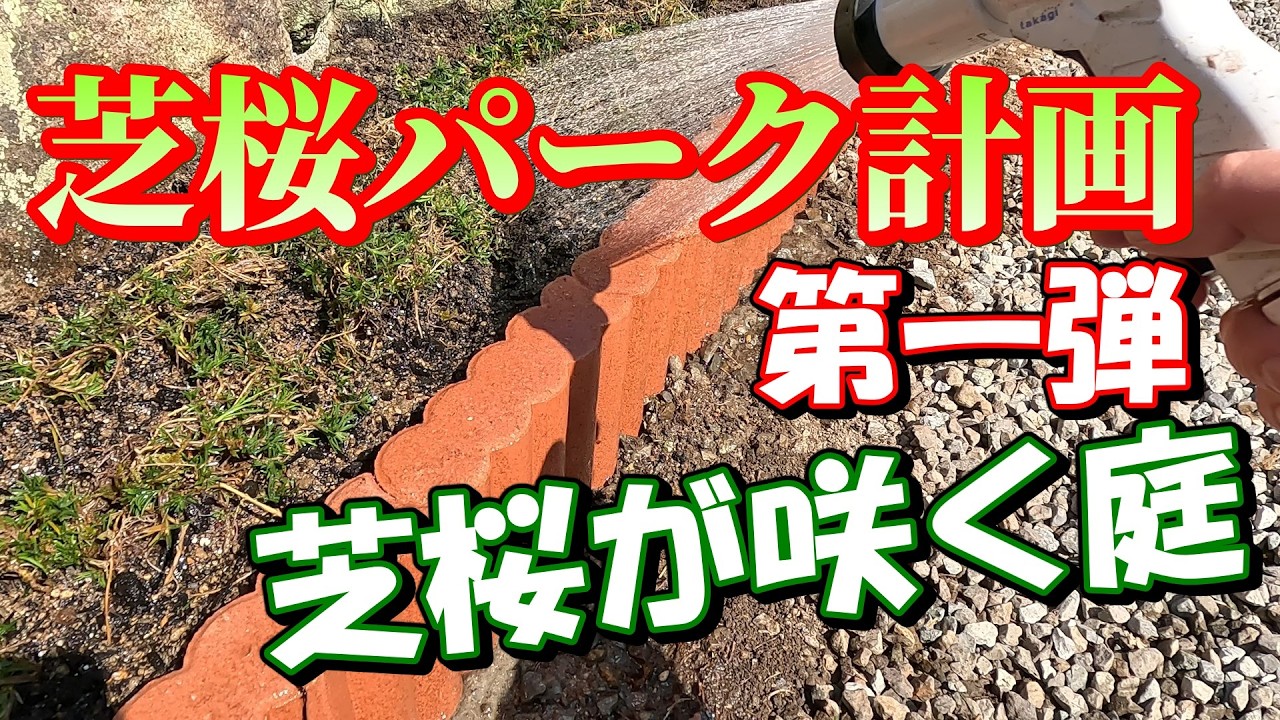 芝桜の花壇リセット！芝桜を植え直して一面ピンクを目指す