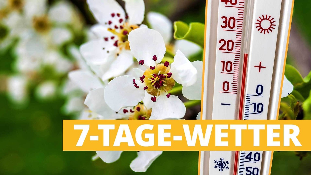 7-Tage-Wetter: Wieder 20 Grad - Ungewöhnliche Dauerwärme hält an