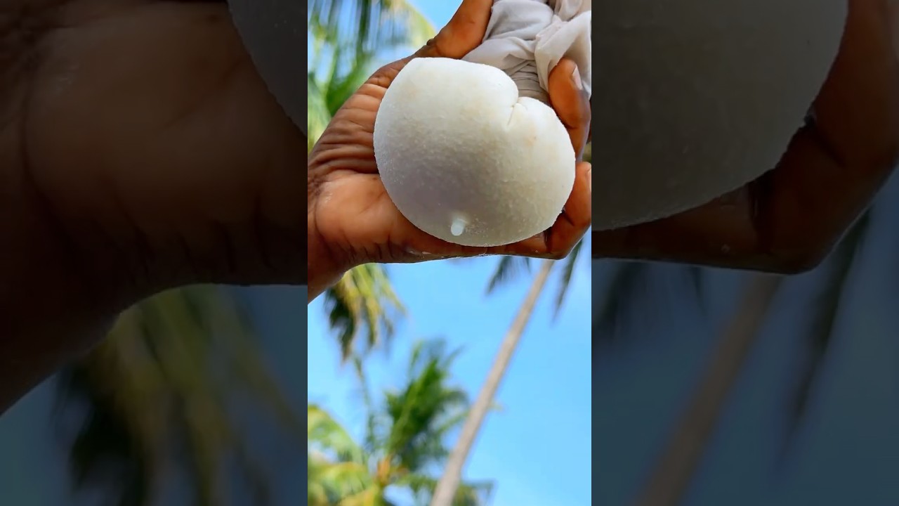 Rasagulla Recipe #shorts