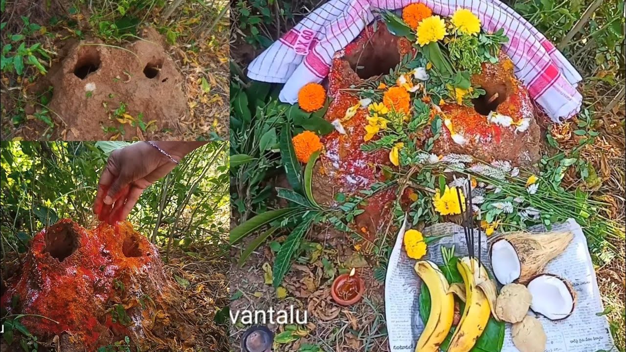 నాగుల చవితి పూజ విధానం|nagula chavithi puja|nagula chavithi putta puja in Telugu|పుట్టపూజ ఎలా చేయాలి