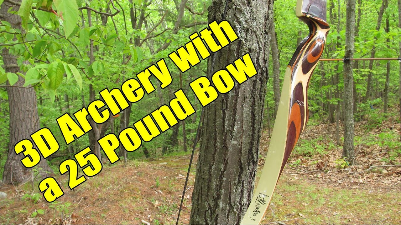 3D Archery with a 25 Pound Bow