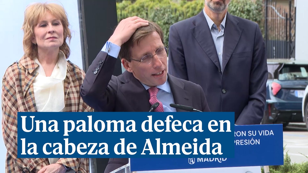 Una paloma se caga encima de la cabeza de Almeida