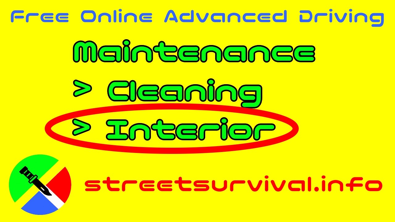 Expert Tips to Deep Clean Your Car Interior Like a Pro