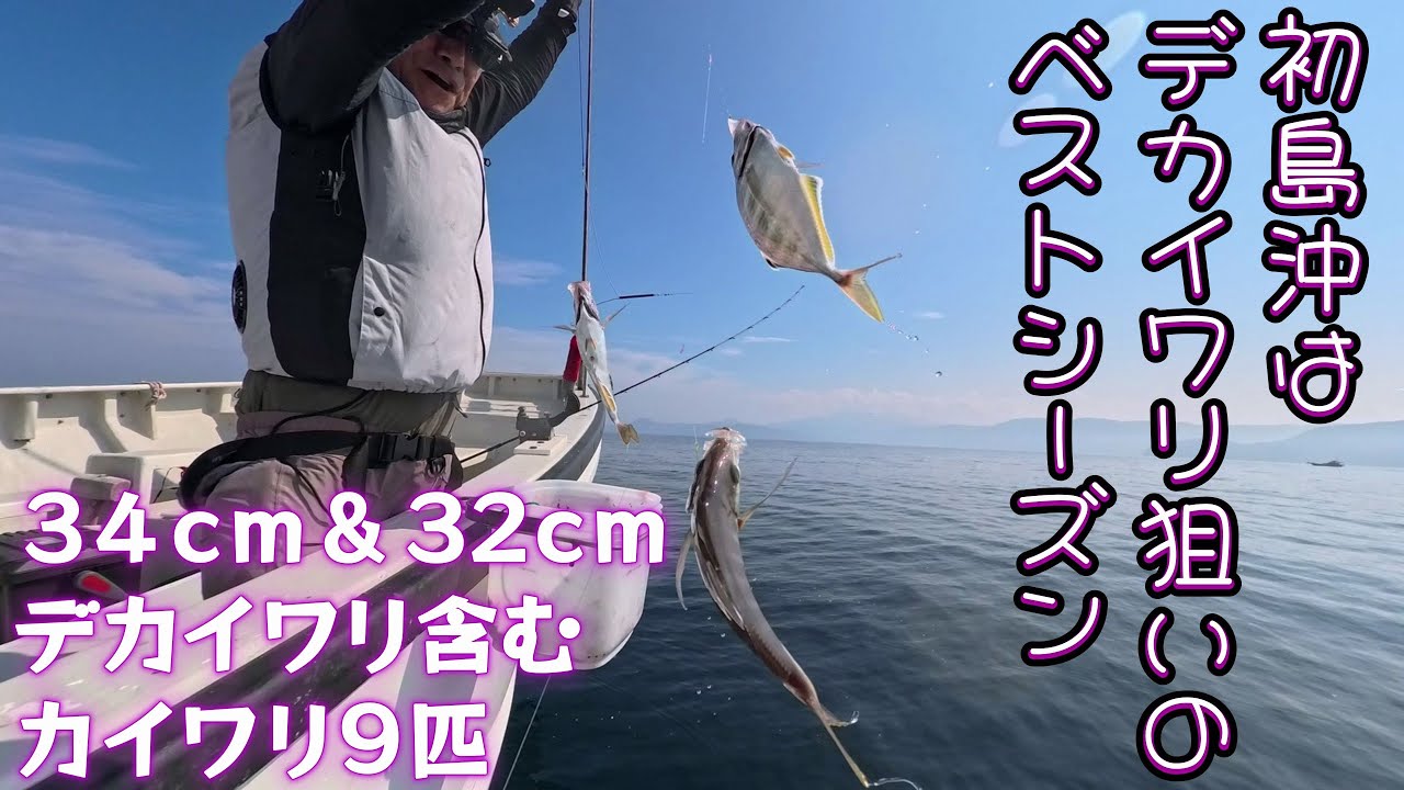 巨アジとサバに邪魔されるも34cm＆32cmのデカイワリ含むカイワリ9匹と大満足♪～初島沖カイワリは良型狙いのベストシーズン～（2025.7.5 宇佐美・治久丸 午後カイワリ）