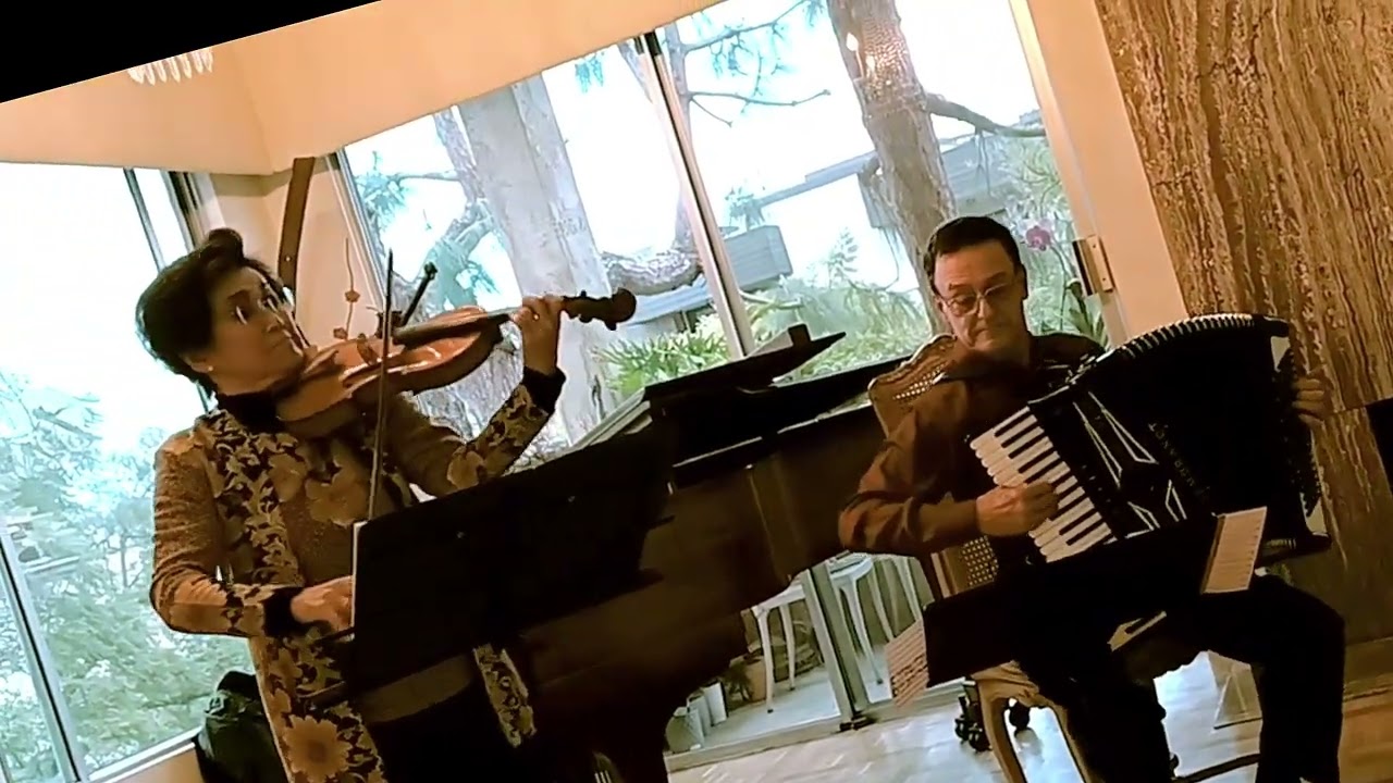 Can't Help Falling In Love ~ violin & accordion: Ayke Agus/Nick Ariondo