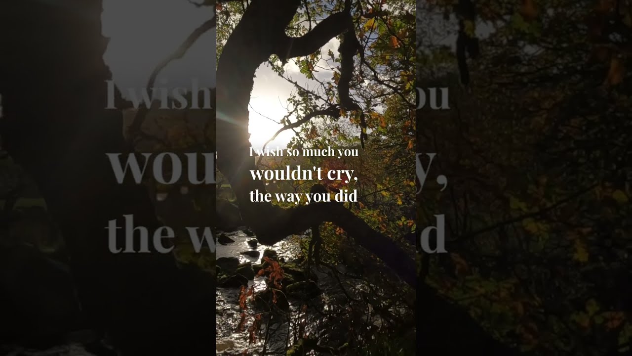 If tomorrow starts without me poem - David Romano [Spoken Word, Irish Narrator] #poetry