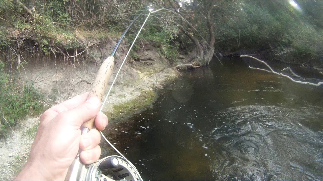 Nymphenfischen im tiefen Gumpen1