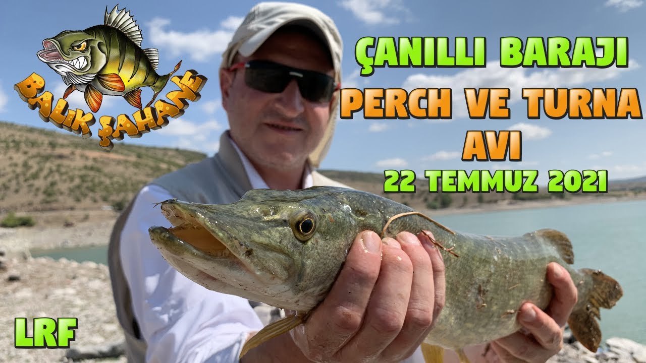Ankara Çanıllı Barajı Perch ve Turna Balık Avı.