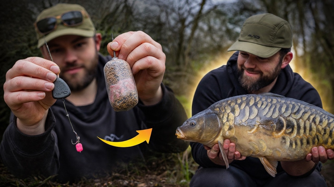 Is this the ULTIMATE spring carp fishing tactic?