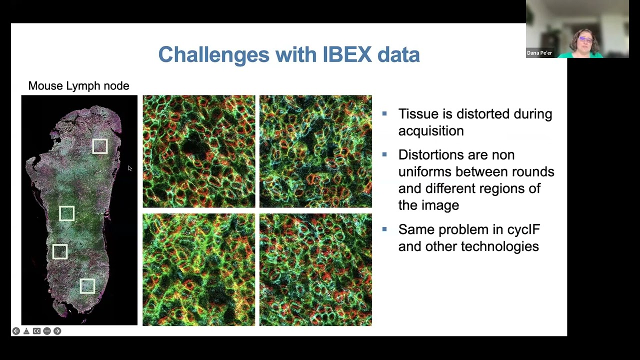 Computational approaches to mapping structure in tissues