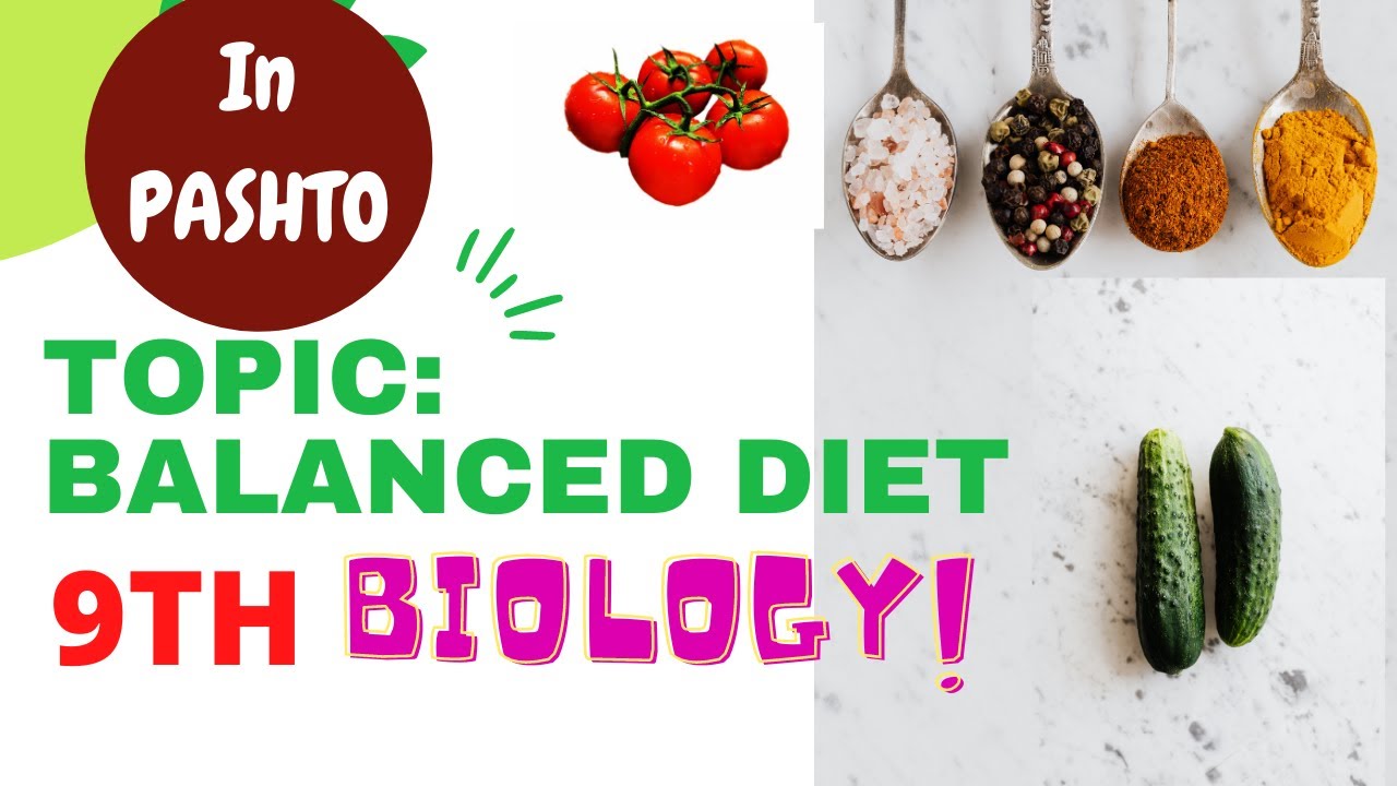 Balanced Diet | 9th Biology in pashto | Home of biology