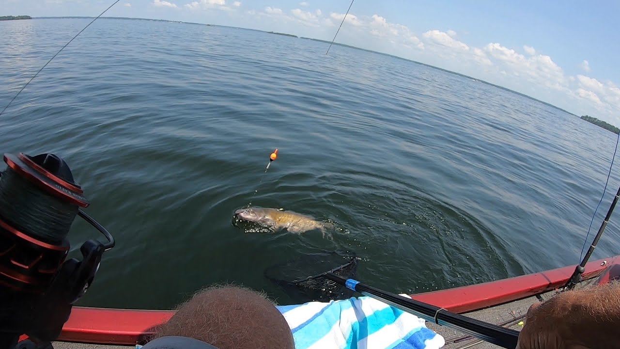 Slip Corking Georgia Wigglers For Big Catfish on Lake Murray!