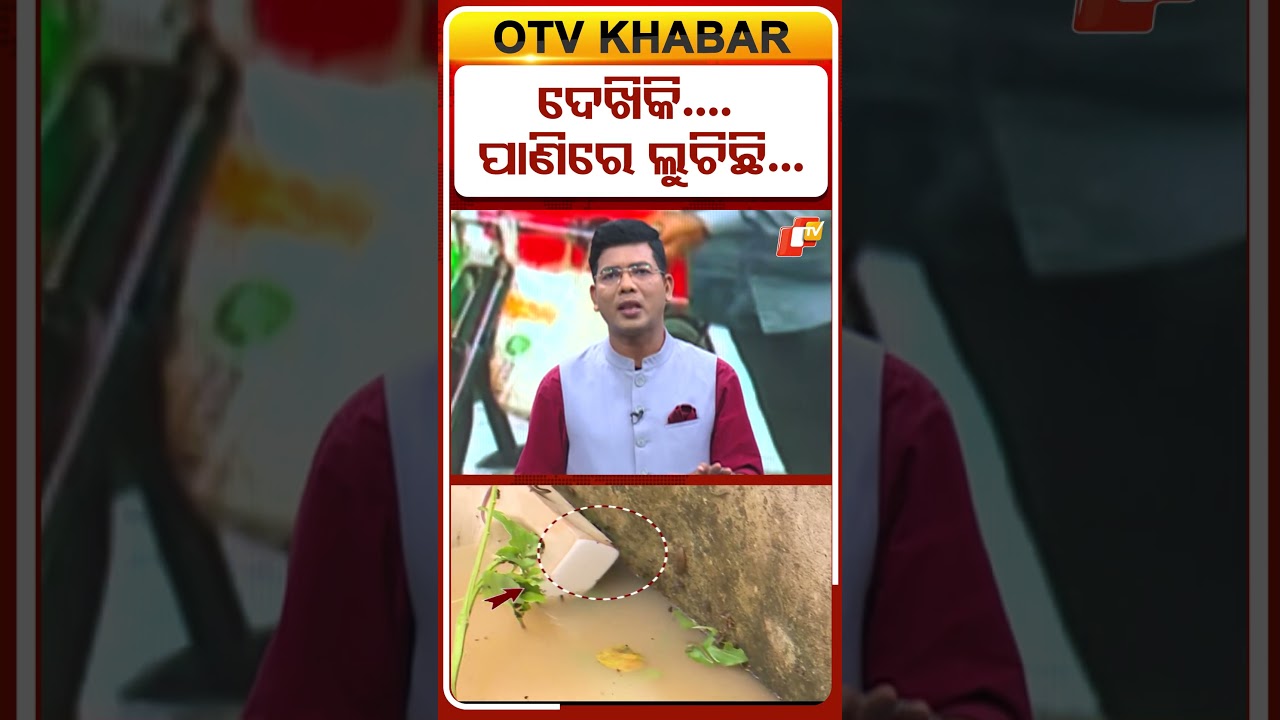 ଦେଖକି ପାଣିରେ ଲୁଚିଛି...#Flood #Snake #venomoussnake #HeavyRain #WeatherAlert  #OTVShorts