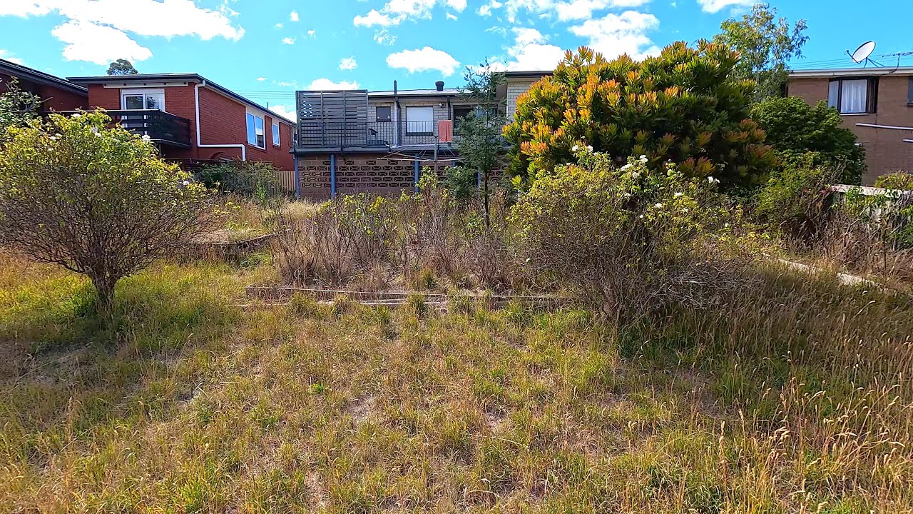 Mind-Blowing TRANSFORMATION: Garden Jungle Neglected for 6 Years Comes BACK TO LIFE!