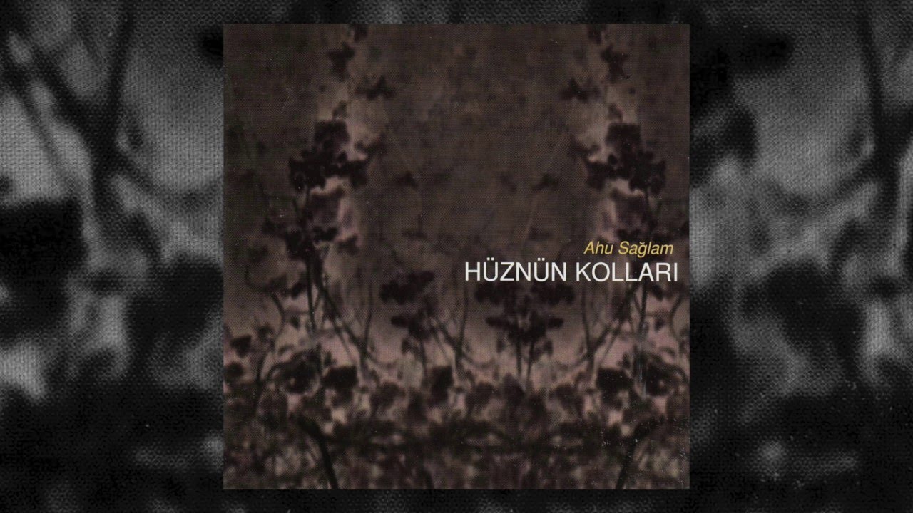 Ahu Sağlam - Ana Öğüdü