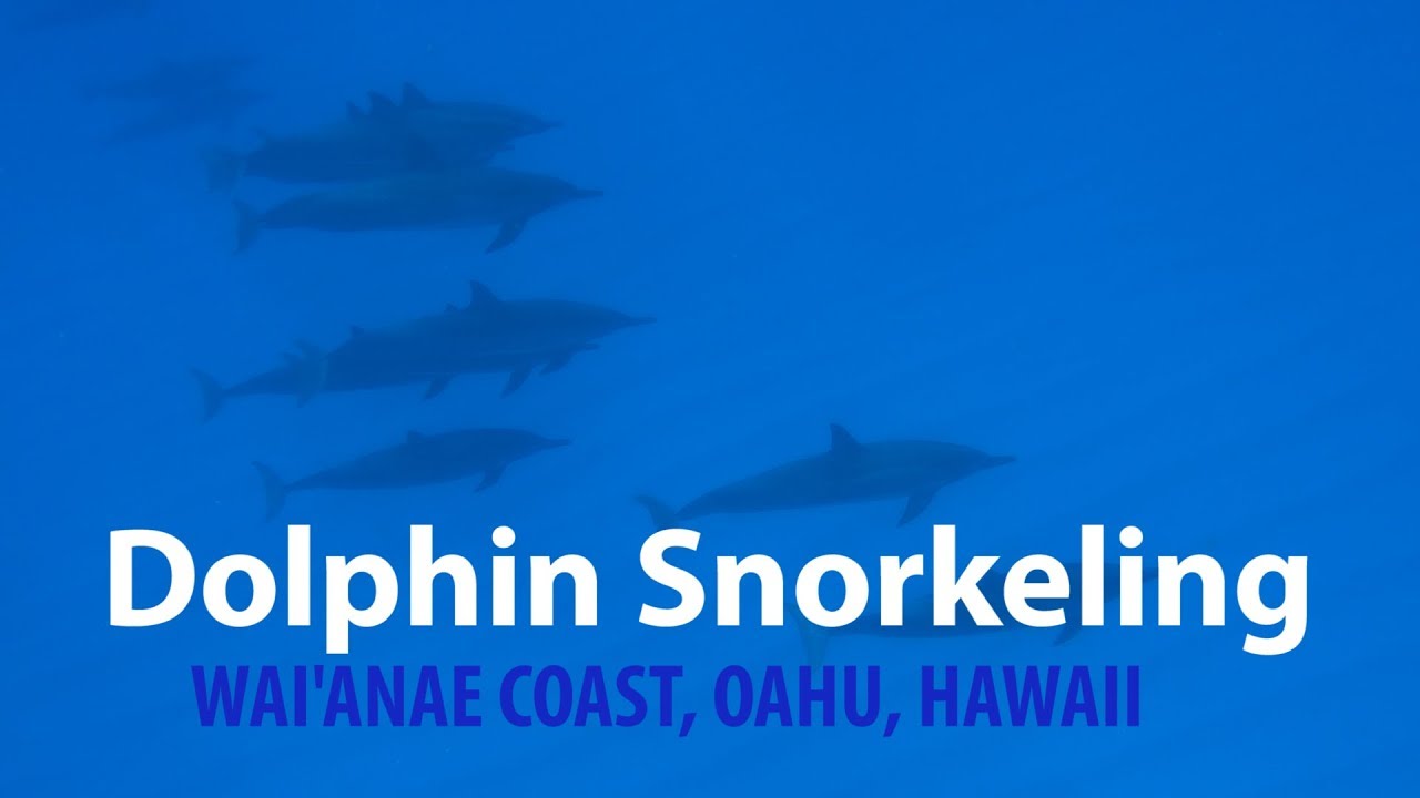 Dolphin Snorkeling Tour by the Waianae/Leeward Coast, Oahu (Hawaii) Travel Vlog [HD]