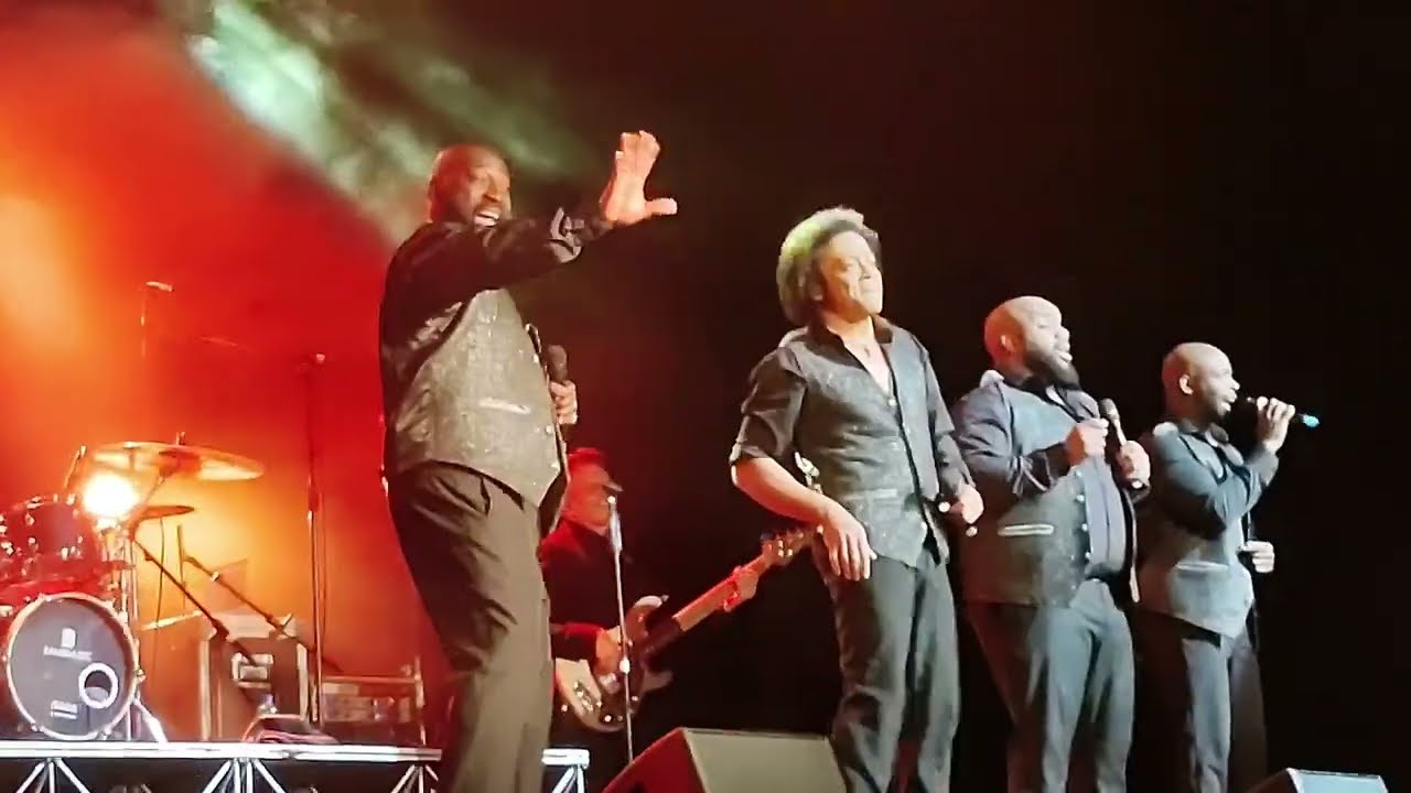 Saturday Night At The Movies - The Drifters