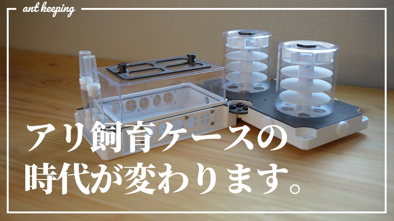 【アリ飼育ケース】ここまで進化するのか…横置きリンクスv2レビュー