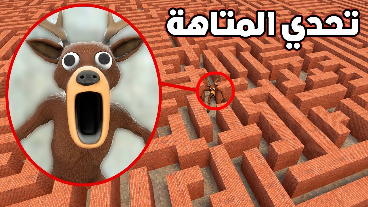قاريز مود : الهروب من وحش الغابة  داخل المتاهة 😭🏃 Garry's Mod