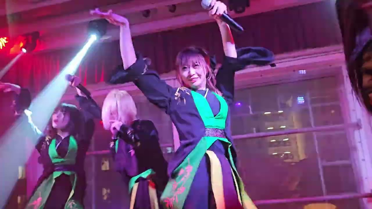NEO JAPONISM 'KAMINARI' Fancam @ America Tour 