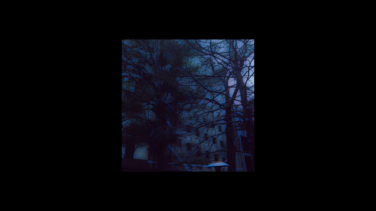 Lana Del Rey - West Coast (slowed + reverb)