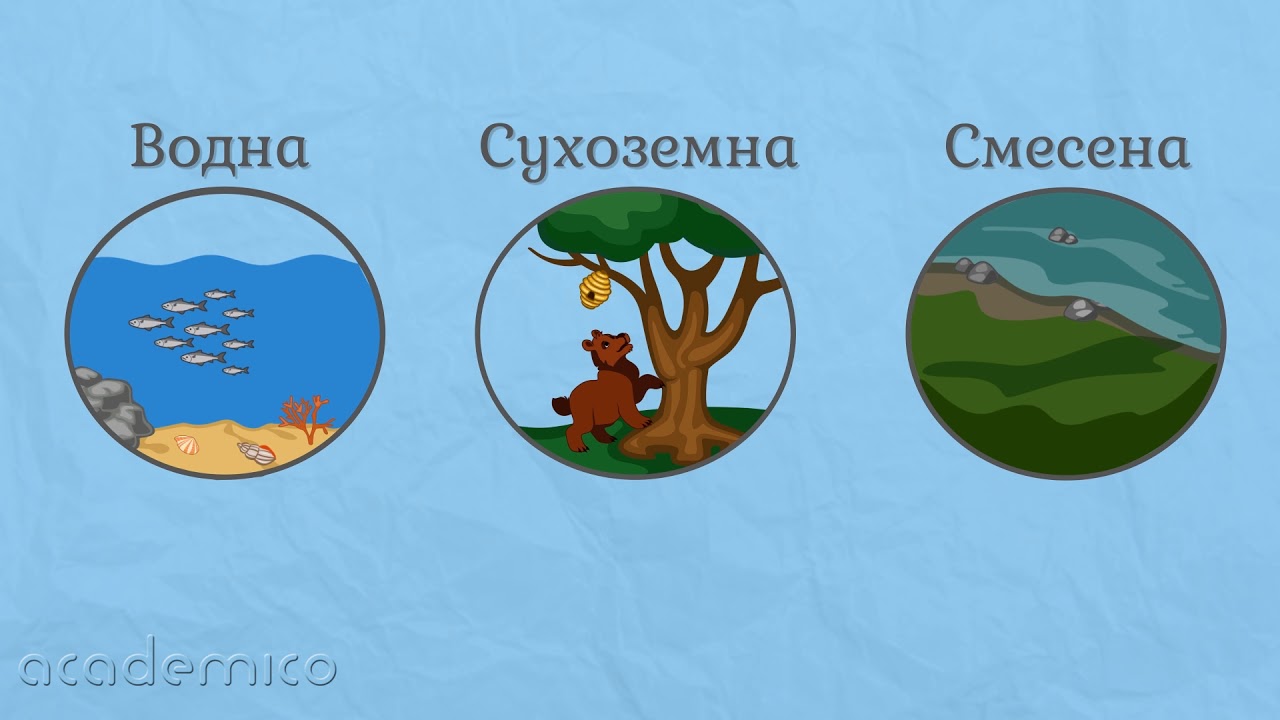 Организмите – част от природата - Човекът и природата 3 клас | academico