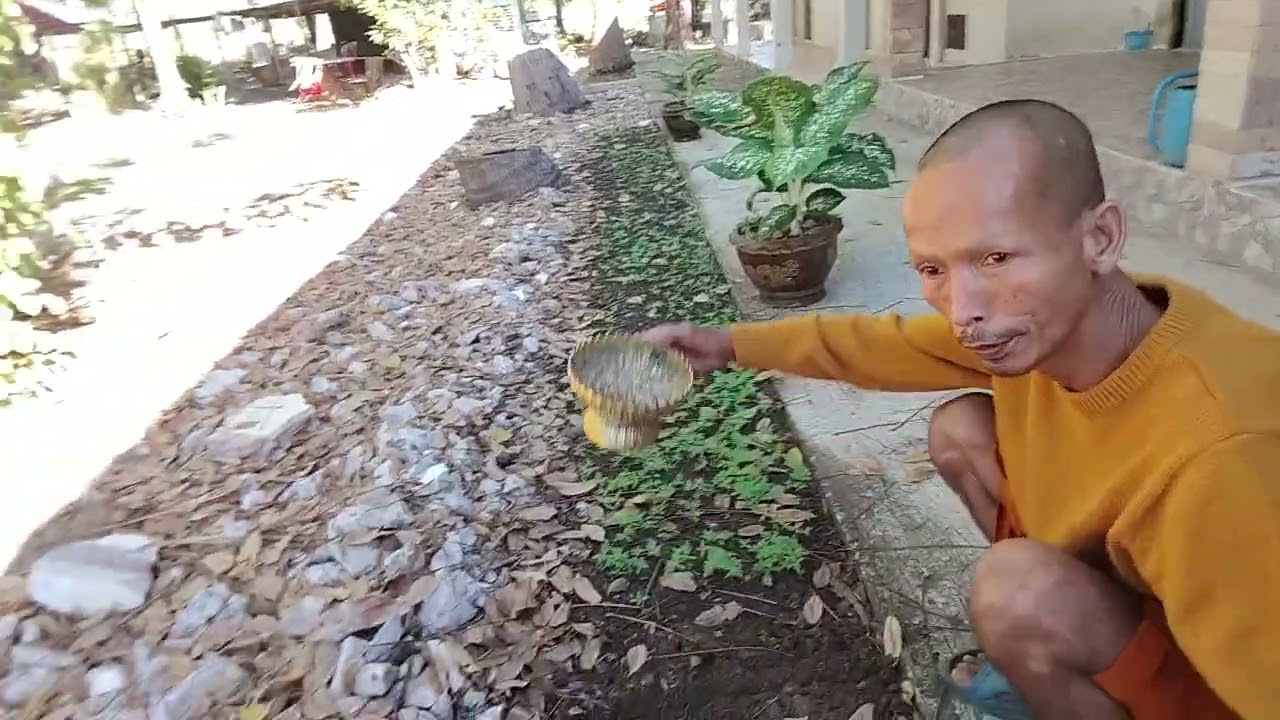 ตัดหญ้าก็เจอแต่อุปสัก