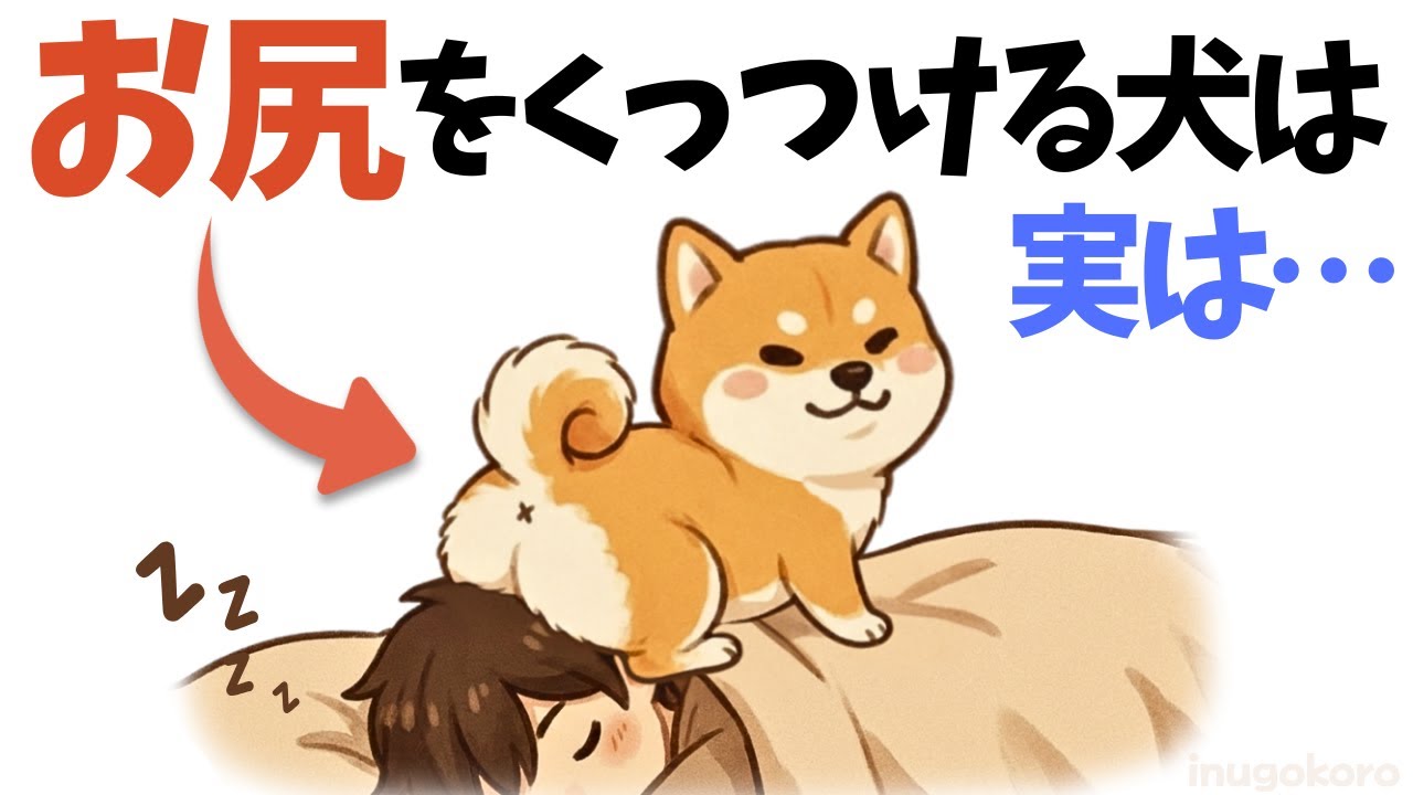 【9割が誤解】可愛い犬の仕草に隠された「本当のサイン」9選｜お尻をくっつける本当の理由