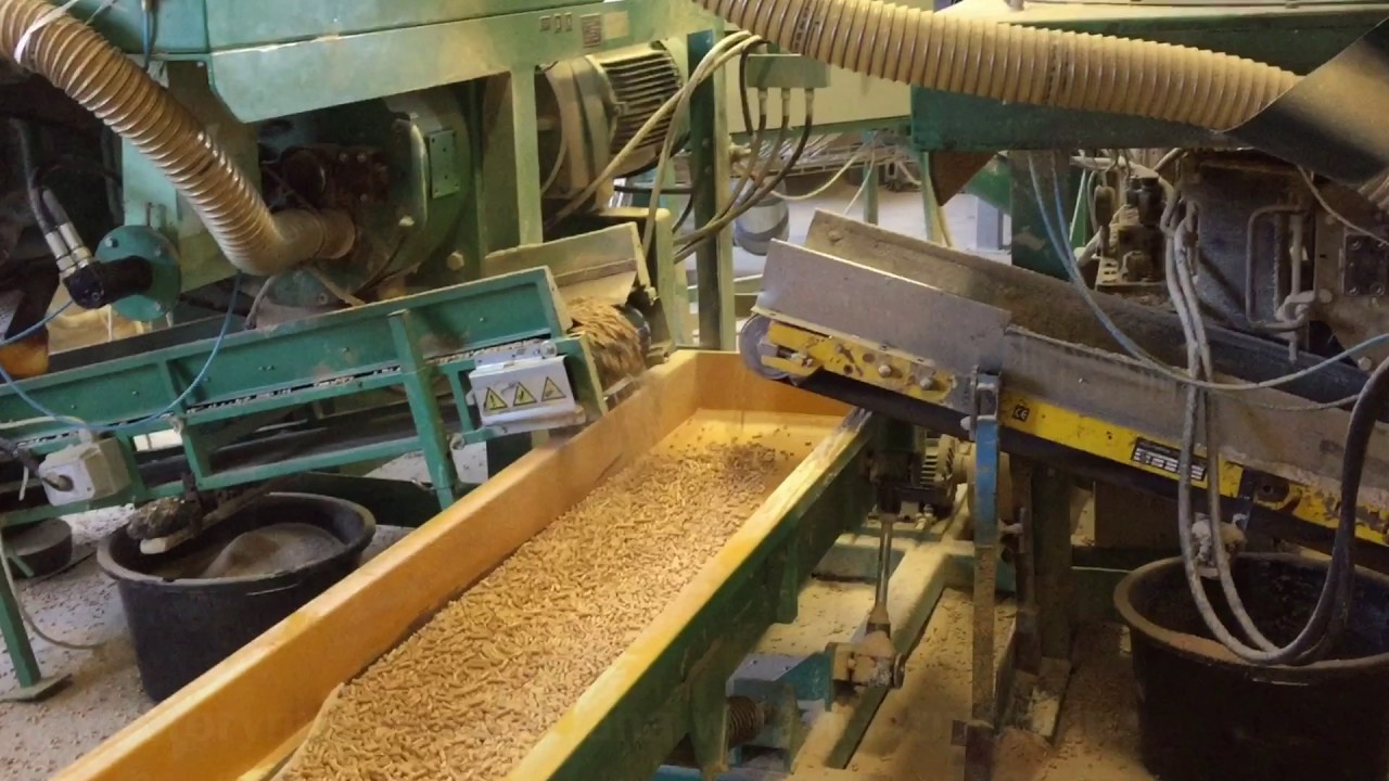 peleciarka mikrom twin 1000 kg/h - 1 t/h/ +48 663 336 322