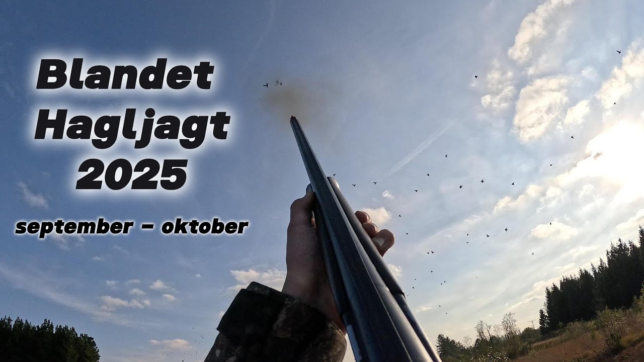 Blandet Hagljagt 2025 - september - oktober