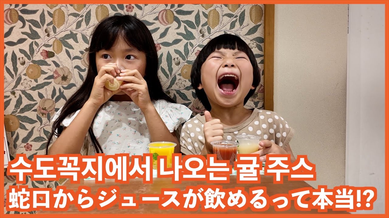 初めての愛媛で驚きの連続！지브리 감성! 에히메에 다녀왔습니다! 매력적인 곳이 너무 많았던 곳!