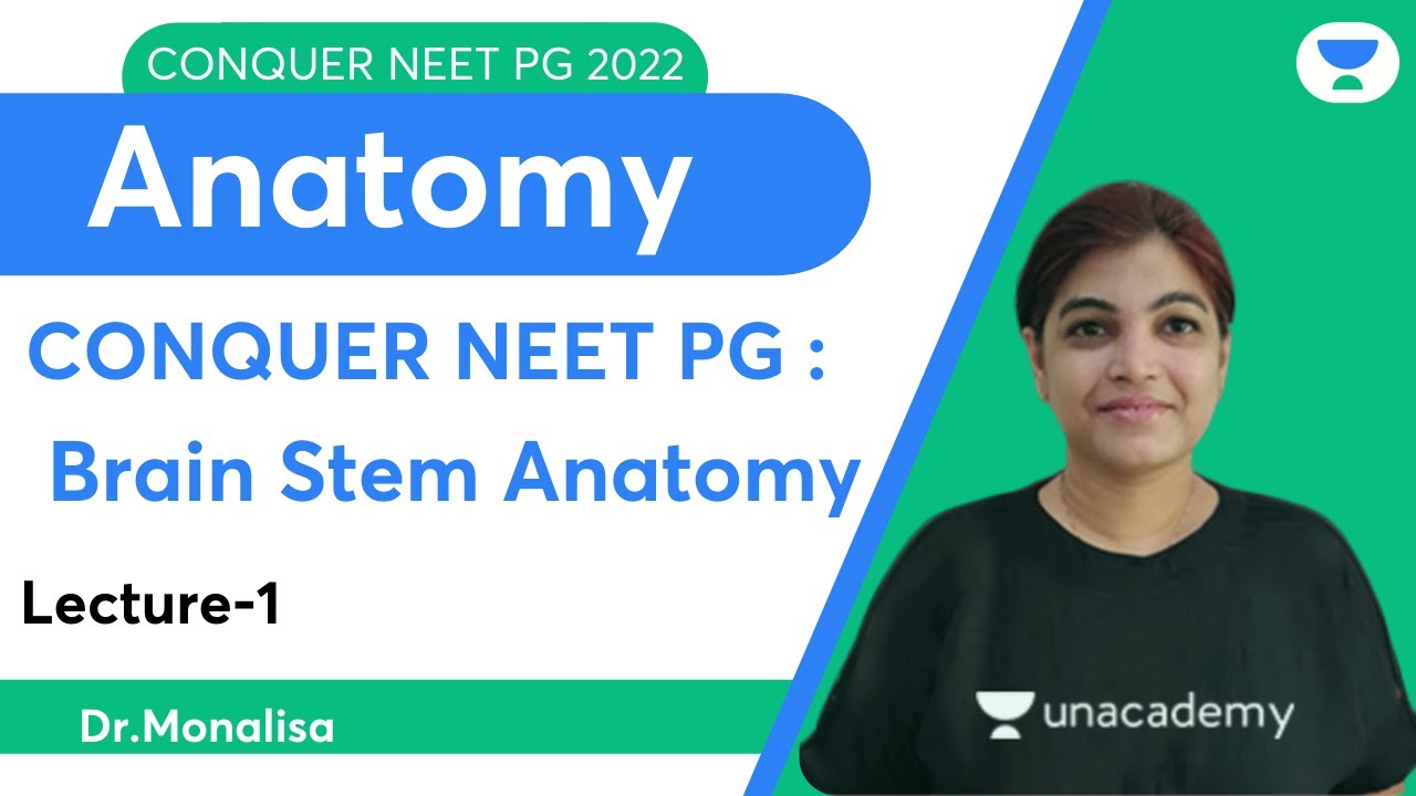 Conquer NEET PG 2022 : Brain Stem Anatomy | Anatomy | Let's Crack NEET PG | Dr. Monalisa
