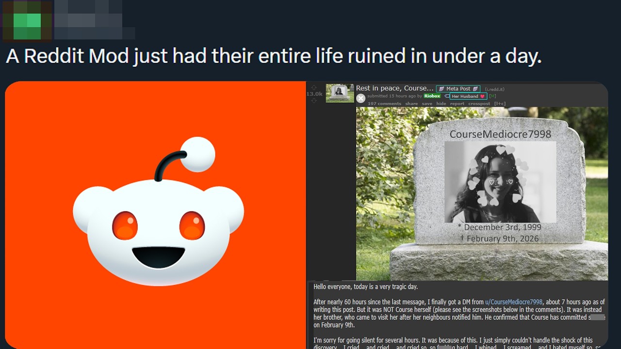 Absolutely Insane Reddit Situation