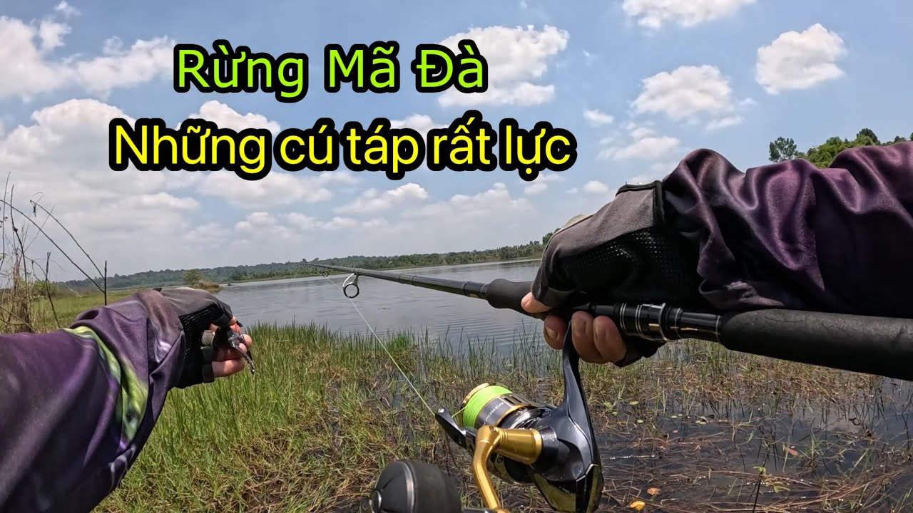Đi c&acirc;u c&aacute; l&oacute;c tại rừng M&atilde; Đ&agrave; v&agrave; gặp phải những c&uacute; t&aacute;p kinh ho&agrave;ng đầy tiếc nuối 
