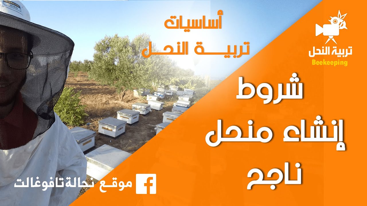 شروط إنشاء منحل ناجح | الحلقة 4