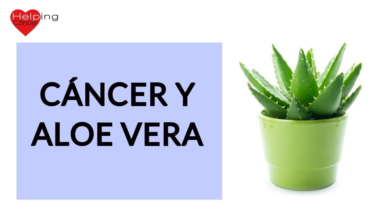 Aloe vera y c&aacute;ncer
