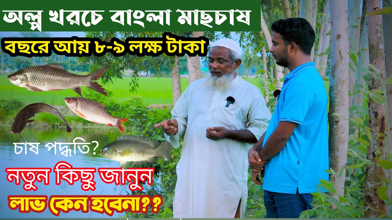 দেশি বাংলা মাছ চাষ করে বছরে আয় ৮-৯ লক্ষ টাকা। মাছ চাষ পদ্ধতি। মাছের রোগ। পুকুরে মাছ চাষ (fishing)।