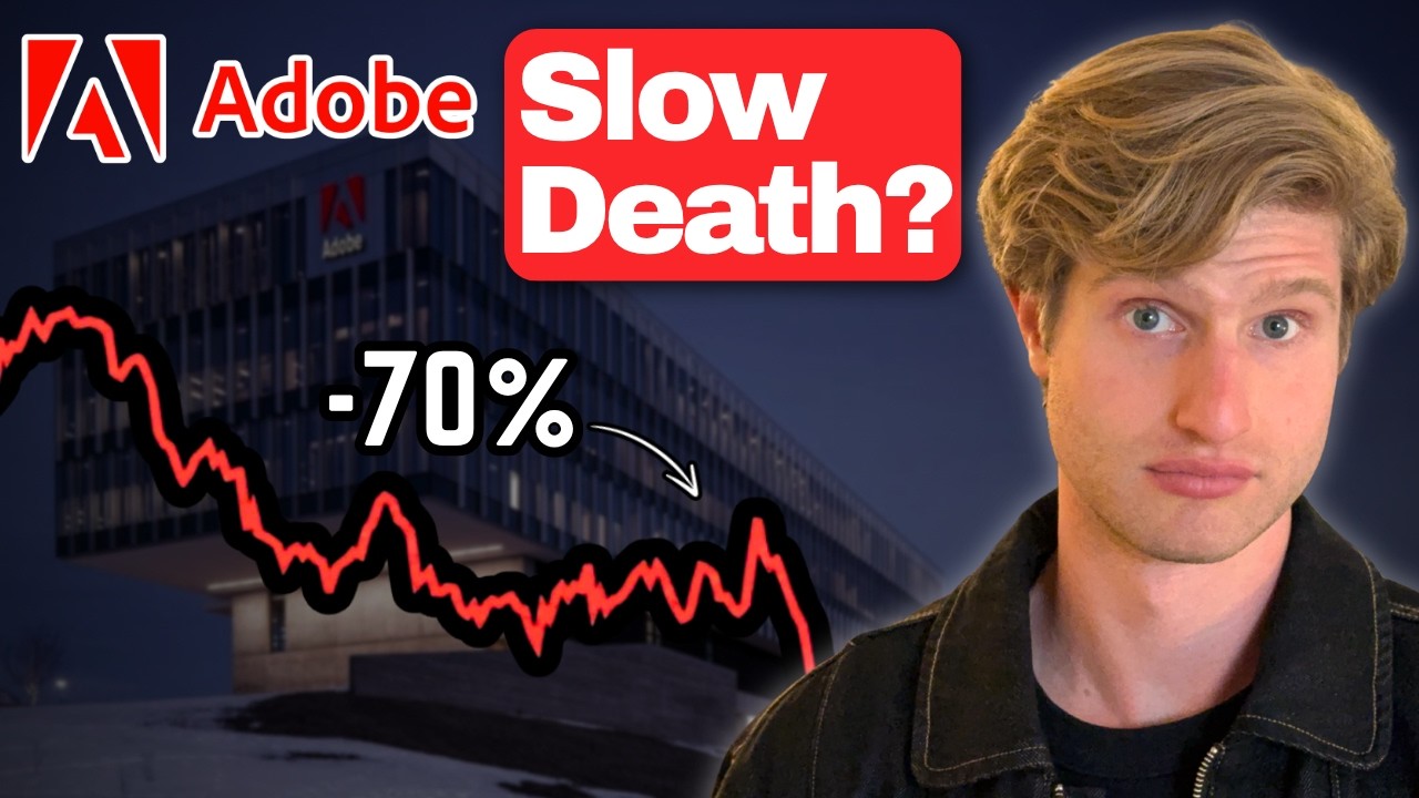 Умирающий бизнес или легкие деньги? Обзор Adobe